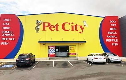 Where is the Closest Pet Store? – 寻找宠物店之旅及其体验分享